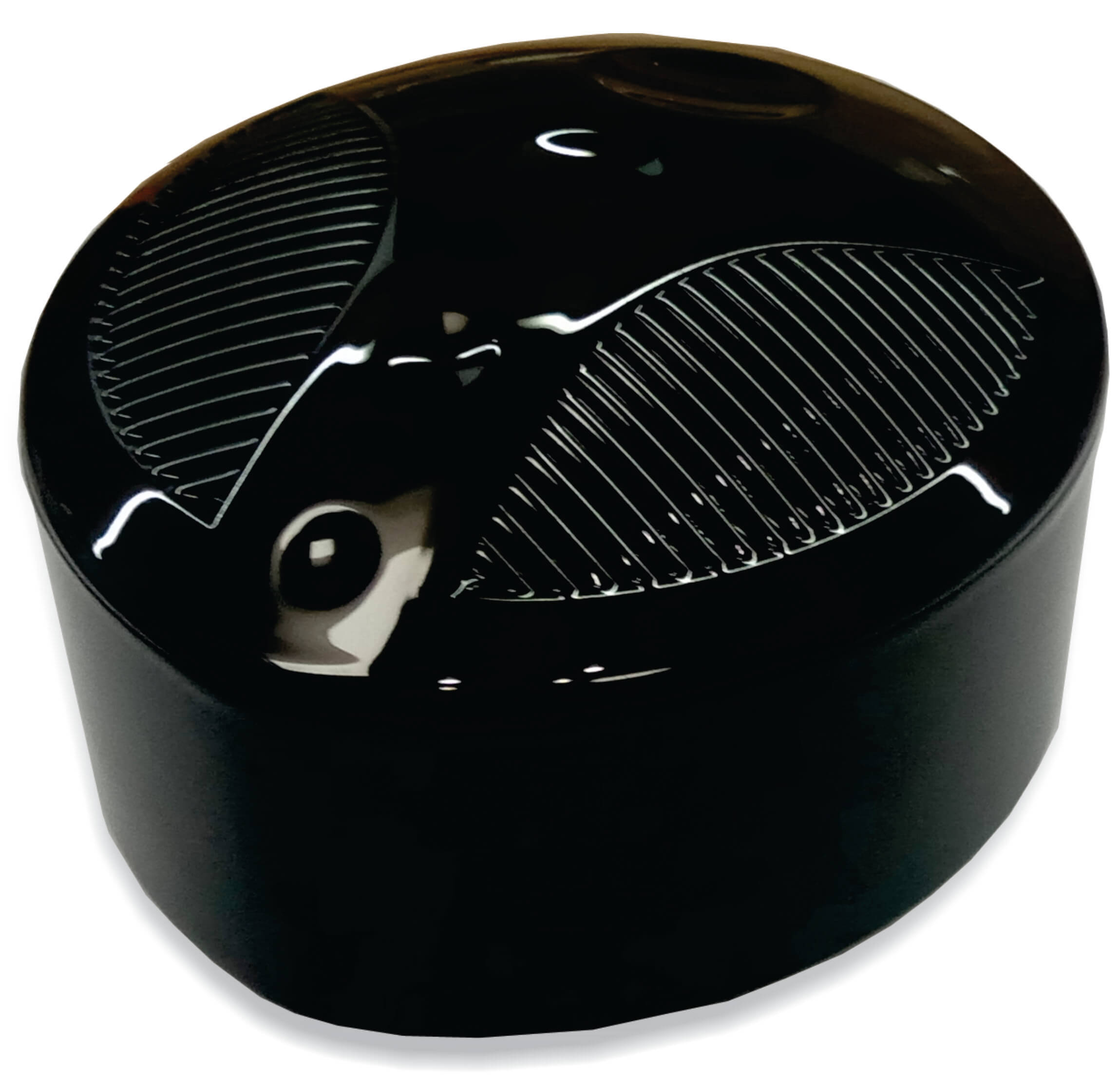 USB Camera ce-300x for web