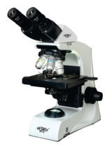 hector 2020i (1)