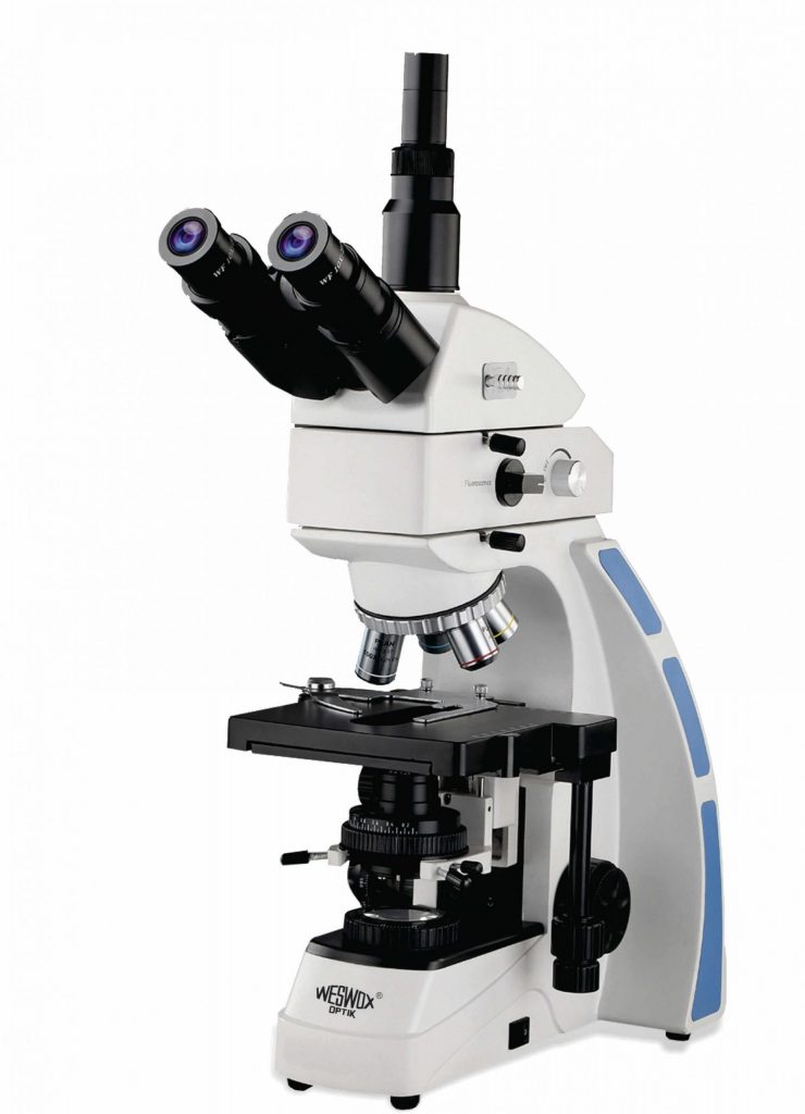 Fluorescence Microscope The Western Electric & Scientific Works